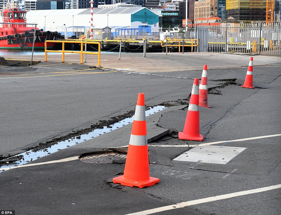 Reportan víctimas fatales tras terremoto en Nueva Zelanda