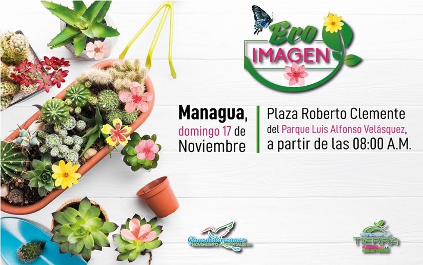 Movimiento  Ambientalista Guardabarranco realizará Feria "Eco Imagen"