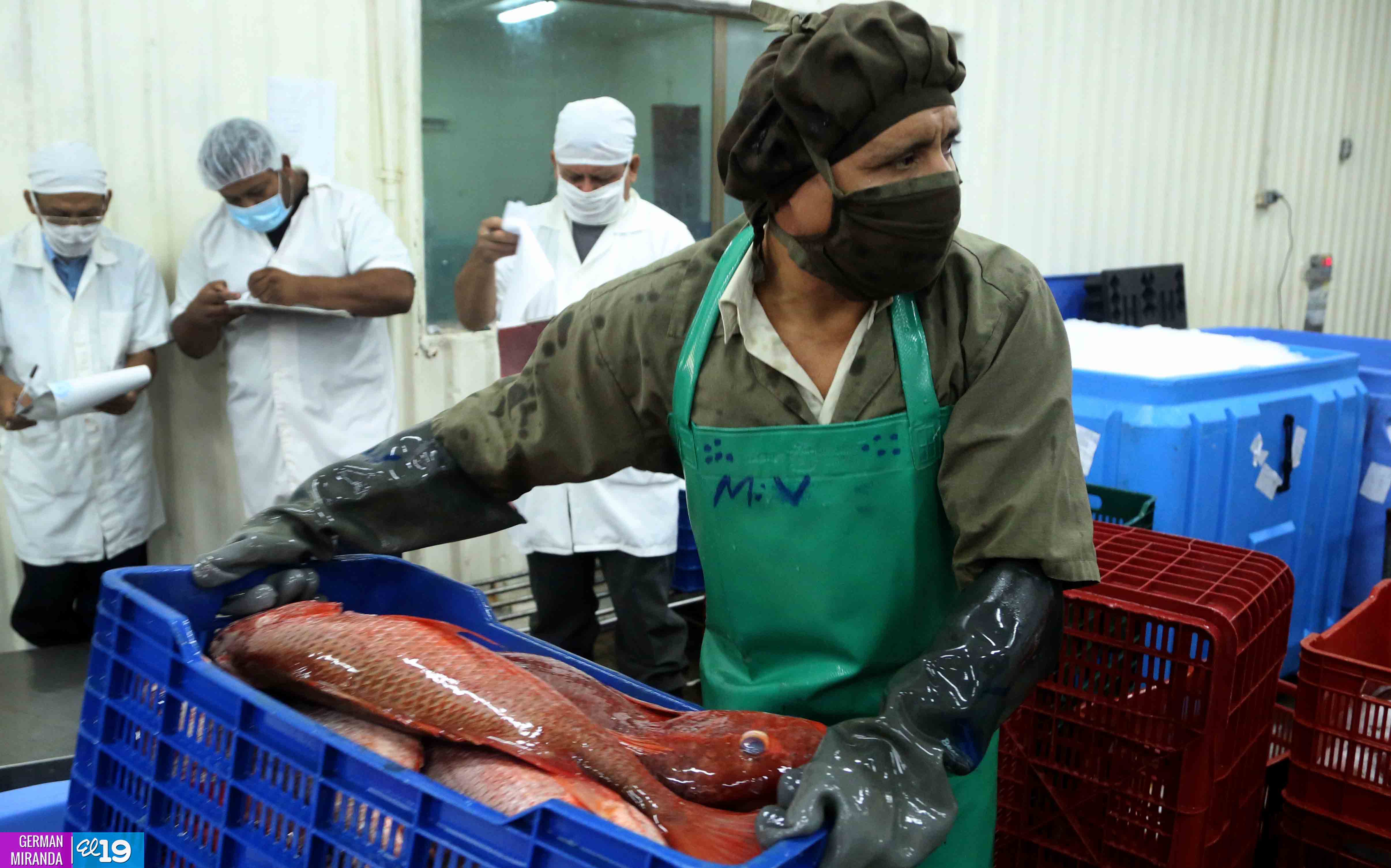 Explotación racional y sostenible de recursos pesqueros garantiza exportaciones todo el año
