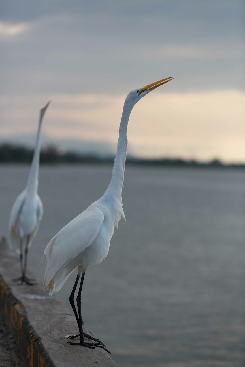 Río San Juan, destino virgen de Nicaragua
