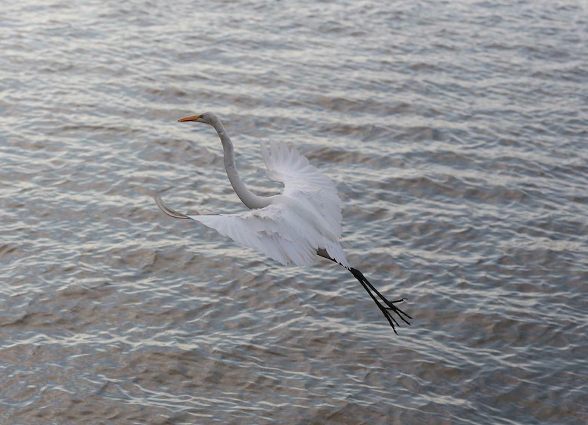 Río San Juan, destino virgen de Nicaragua
