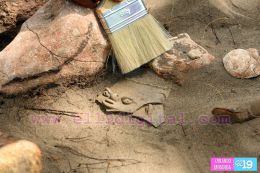 Científicos hallan más de 1 mil 500 artefactos arqueológicos en la Ruta del Gran Canal de Nicaragua