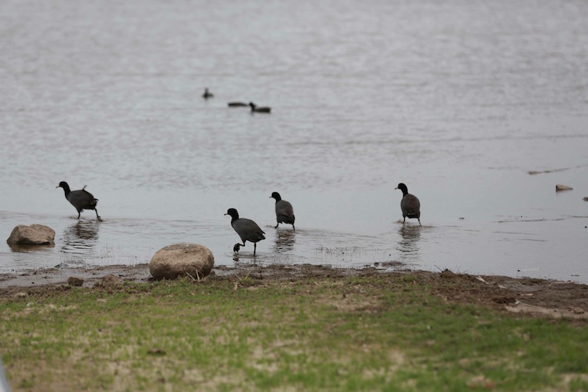 Río San Juan, destino virgen de Nicaragua