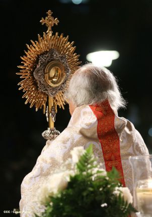 Un mar de católicos participan en primera misa del 2016