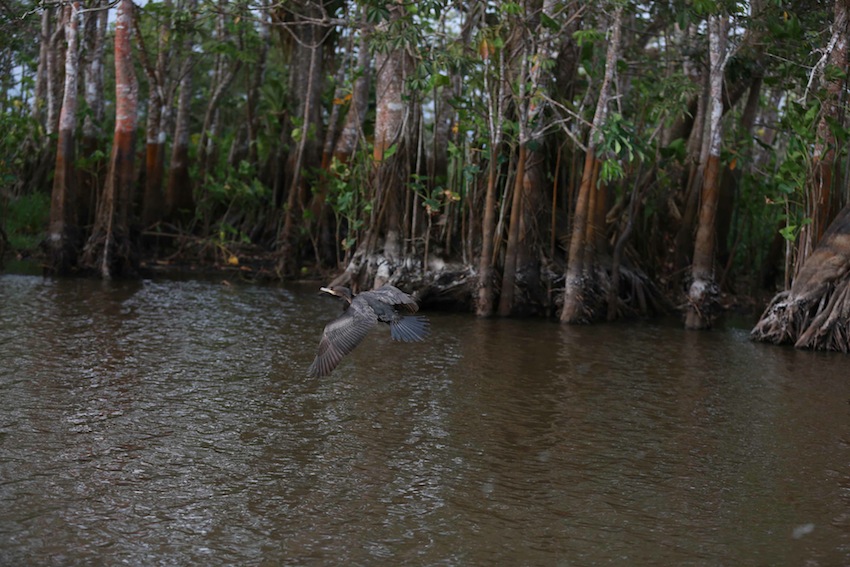 Río San Juan, destino virgen de Nicaragua