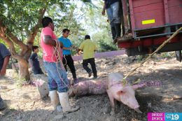 Entrega de bono productivo alimentario a familias de Mateare