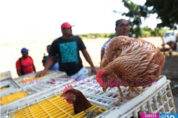 Entrega de bono productivo alimentario a familias de Mateare