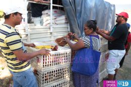 Entrega de bono productivo alimentario a familias de Mateare
