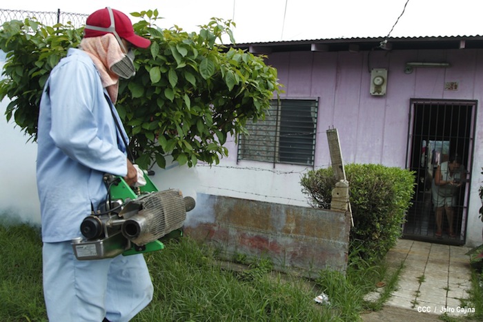 Gobierno y población en lucha frontal contra el dengue