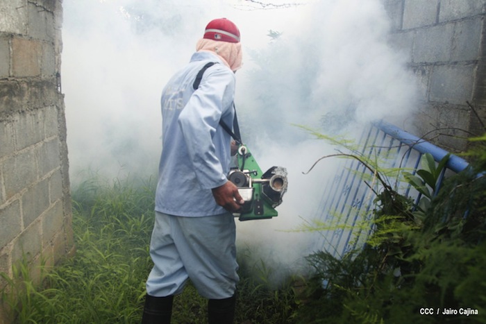 Gobierno y población en lucha frontal contra el dengue
