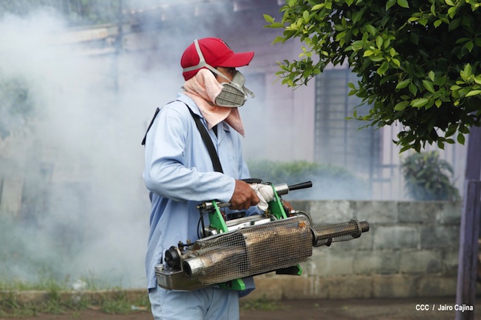 Gobierno y población en lucha frontal contra el dengue