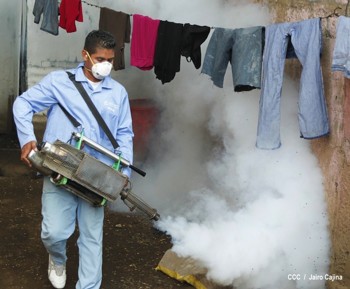 Gobierno y población en lucha frontal contra el dengue