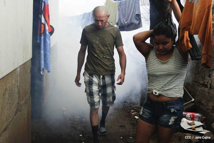 Gobierno y población en lucha frontal contra el dengue