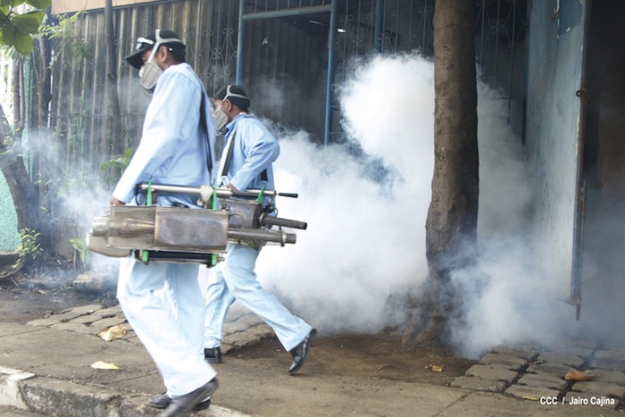Gobierno y población en lucha frontal contra el dengue