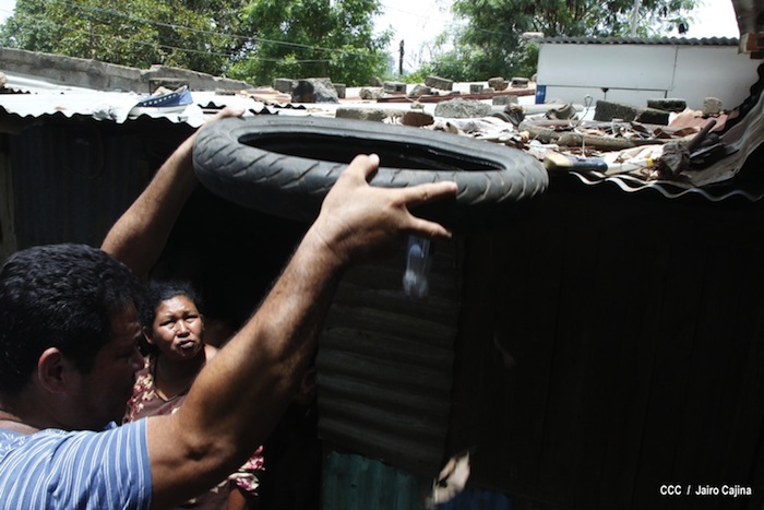 Gobierno y población en lucha frontal contra el dengue