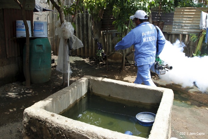 Gobierno y población en lucha frontal contra el dengue