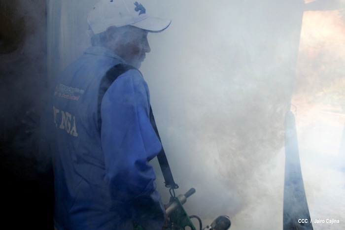 Gobierno y población en lucha frontal contra el dengue