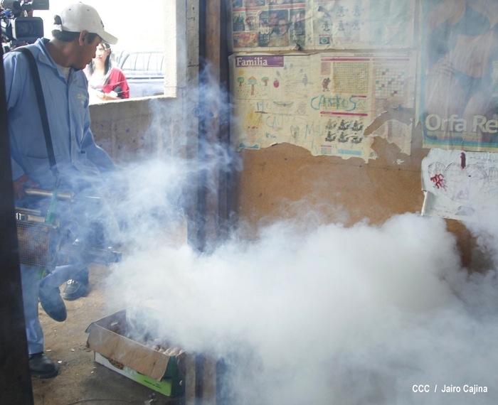 Gobierno y población en lucha frontal contra el dengue