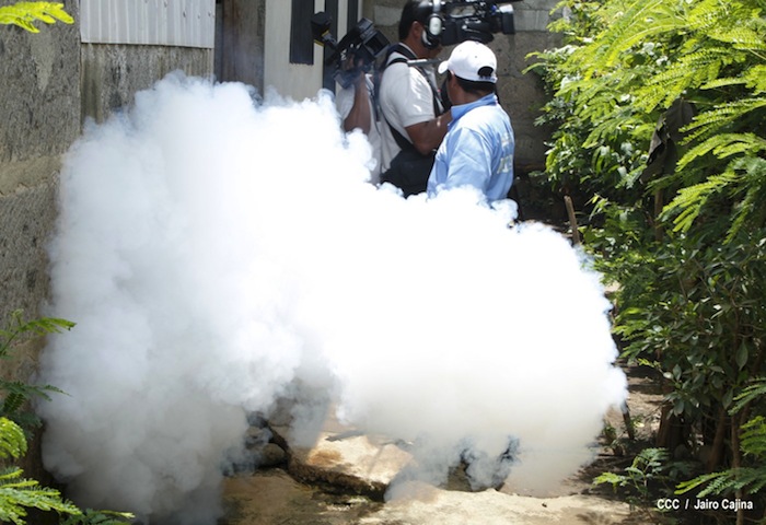 Gobierno y población en lucha frontal contra el dengue