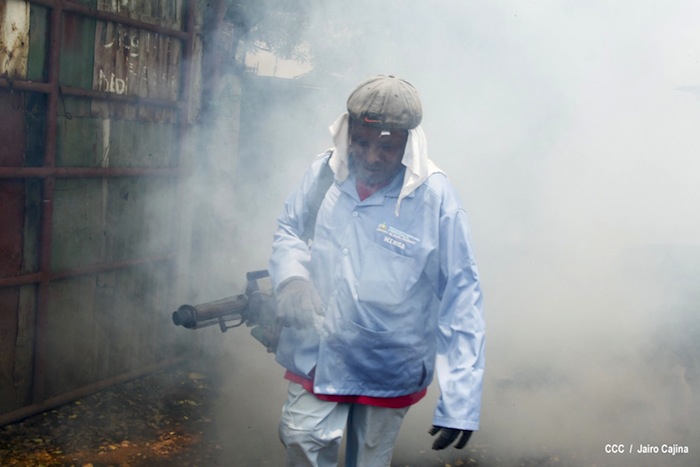 Gobierno y población en lucha frontal contra el dengue