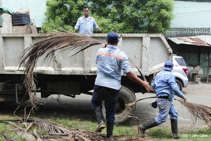 Gobierno y población en lucha frontal contra el dengue