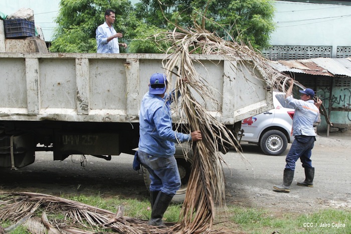 Gobierno y población en lucha frontal contra el dengue