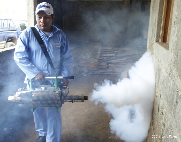 Gobierno y población en lucha frontal contra el dengue