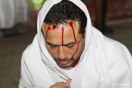 Todo listo para Noveno Encuentro Nacional de Judeas Tradicionales