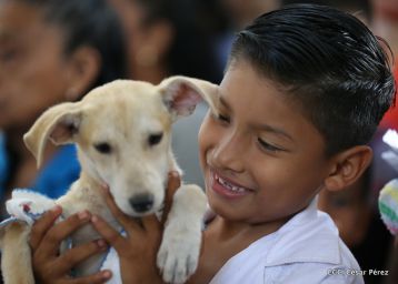 Masaya celebra un año más a San Lázaro con el tradicional desfile de mascotas