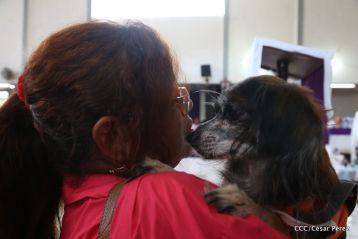 Masaya celebra un año más a San Lázaro con el tradicional desfile de mascotas