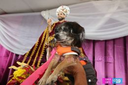 Masaya celebra un año más a San Lázaro con el tradicional desfile de mascotas