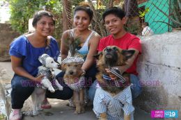 Masaya celebra un año más a San Lázaro con el tradicional desfile de mascotas