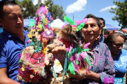 Masaya celebra un año más a San Lázaro con el tradicional desfile de mascotas