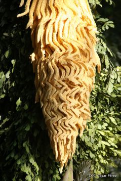 Cardenal Leopoldo Brenes celebra eucaristía en Santuario Nacional de Jesús del Rescate