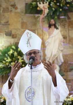 Cardenal Brenes oficia Misa de Resurección