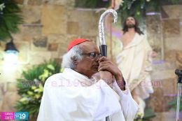 Cardenal Brenes oficia Misa de Resurección