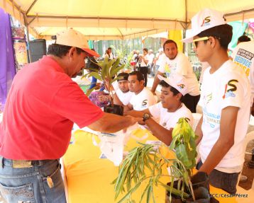 Movimiento Guardabarranco entrega árboles