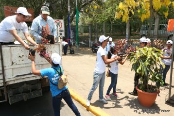 Movimiento Guardabarranco entrega árboles