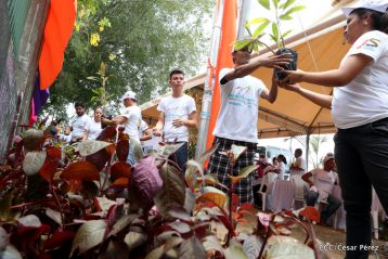 Movimiento Guardabarranco entrega árboles