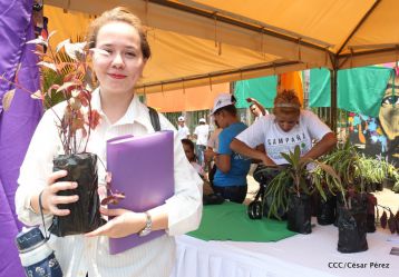 Movimiento Guardabarranco entrega árboles