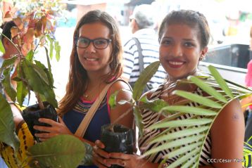 Movimiento Guardabarranco entrega árboles