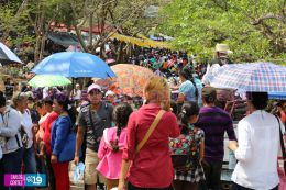 36 aniversario de las apariciones de la Virgen de Cuapa