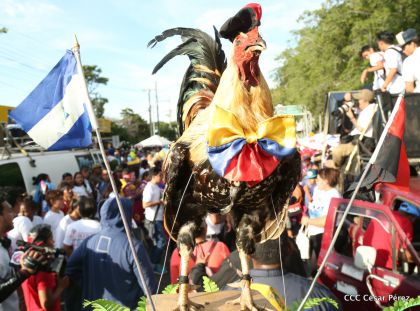 Juventud, Adelante con Daniel!