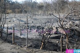 Culmina incendio en Puerto Sandino