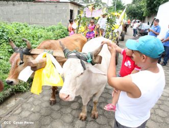 Eucaristía del Cardenal Leopoldo Brenes en Dolores, Carazo