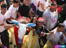 Regresa Santo Domingo a su morada