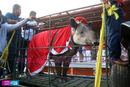 Dantos ganan Final del Pomares 2016