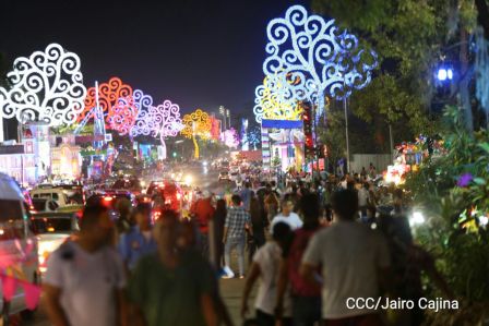 Altares a la Purísima en la Avenida de Bolívar a Chávez