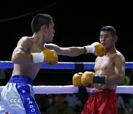 Cartelera boxística de Bufalo Boxing
