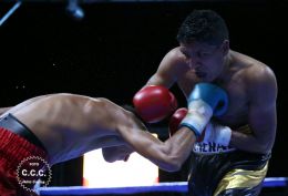 Cartelera boxística de Bufalo Boxing